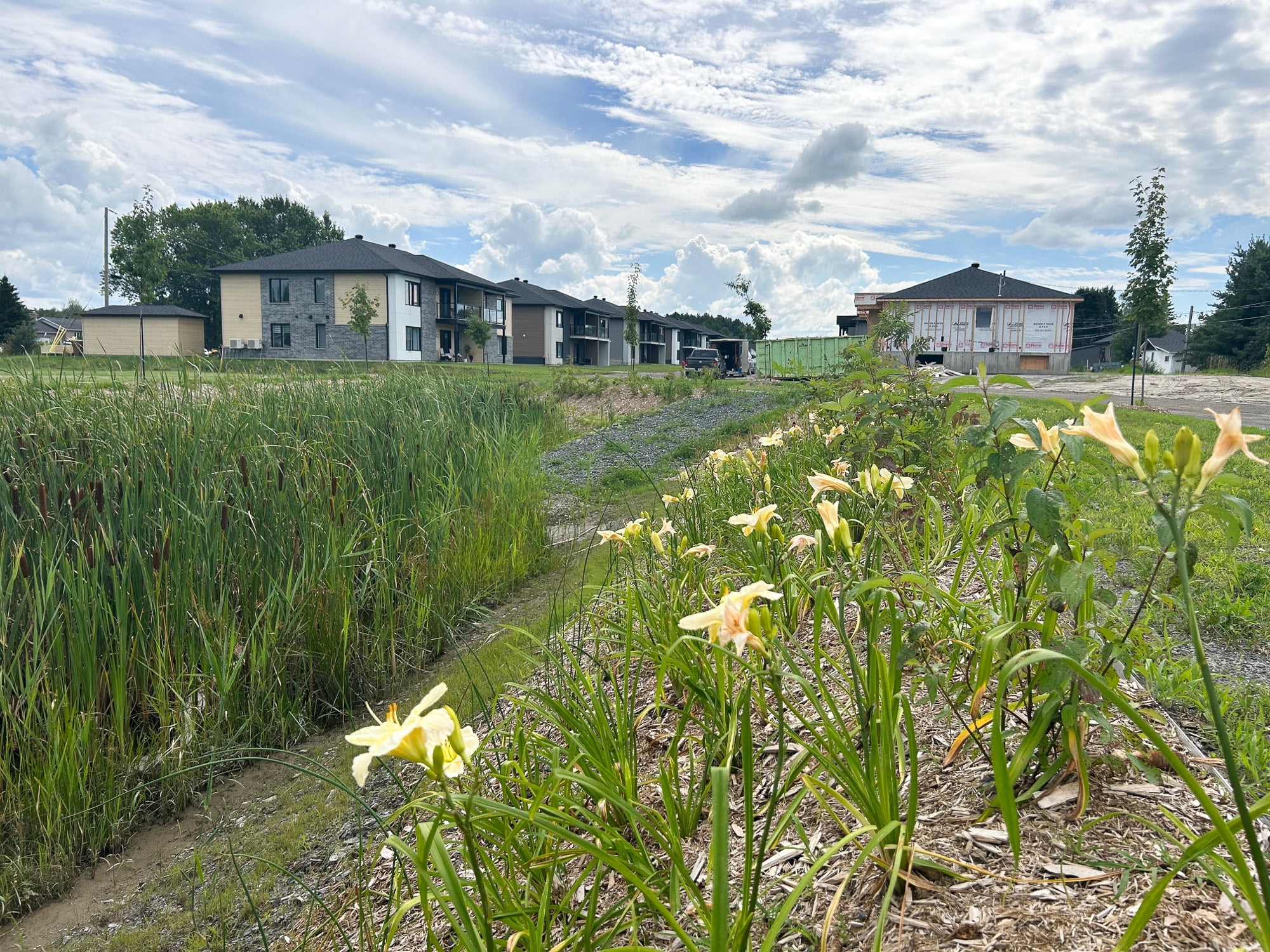 vue des constructions neuves dans le secteur des Bouleaux